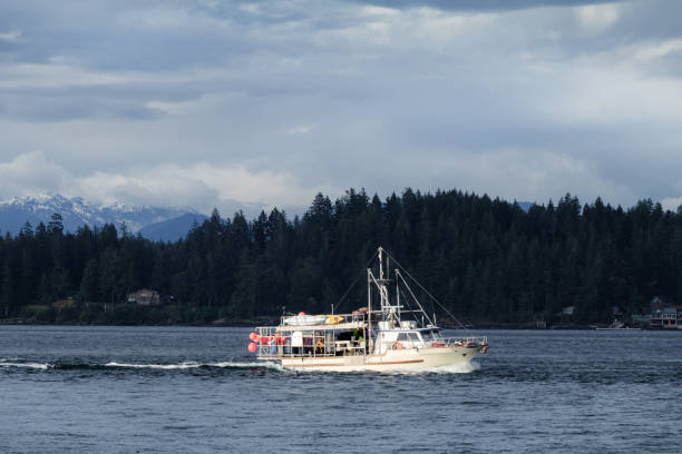 istock Fishing Boat Along The Coastline 1402773421