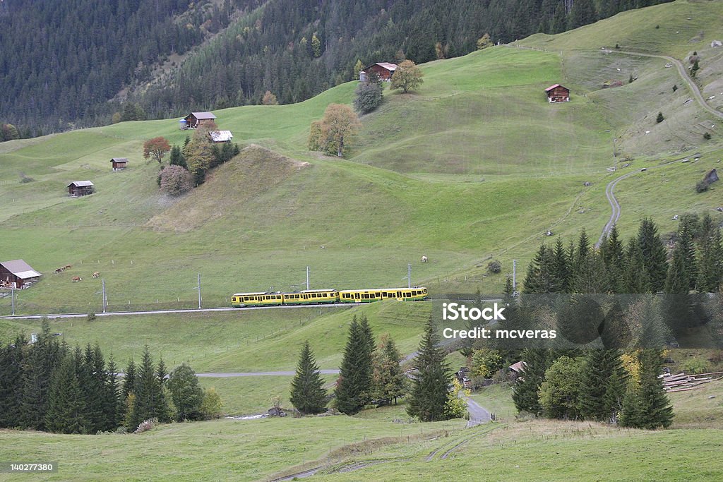 ヨーロッパ Jungfraujoch -上面 - インターラーケンのロイヤリティフリーストックフォト