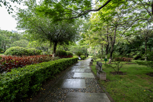 Footpath of city park after rain