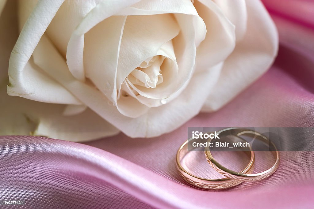 white rose and wedding bands White rose and wedding rings on pink background Beauty In Nature Stock Photo