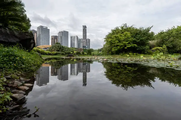 Photo of Lotus pond in modern city park