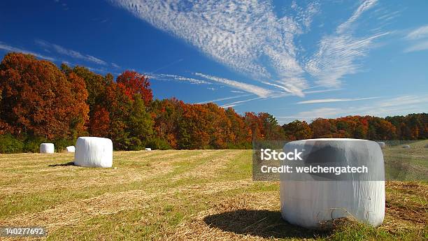 Helens Farm Im Herbst Stockfoto und mehr Bilder von Georgia - Georgia, Agrarbetrieb, Ausgedörrt
