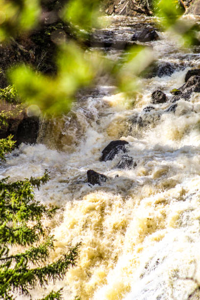 istock Yellowstone river waterfall in Yellowstone national park 1402778641