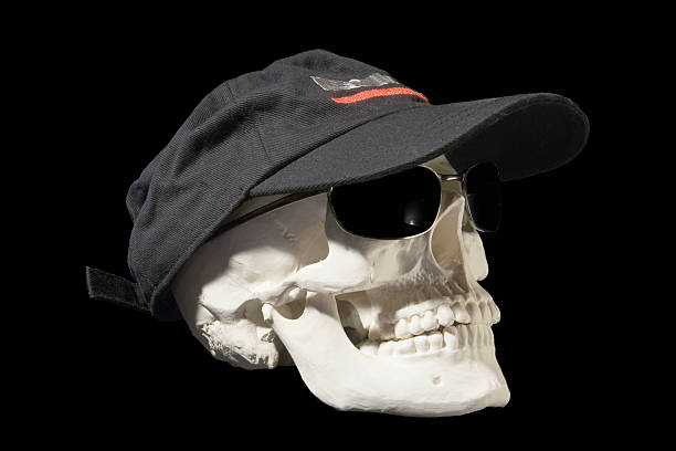 Skull in sunglasses stock photo