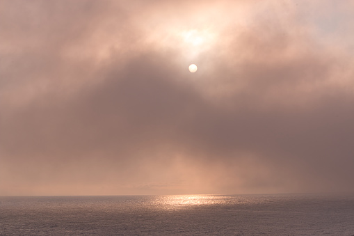 Sunlight filters through thick sea fog rolling inland at sunset