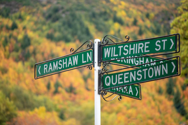 istock Arrowtown road sign 1402781971