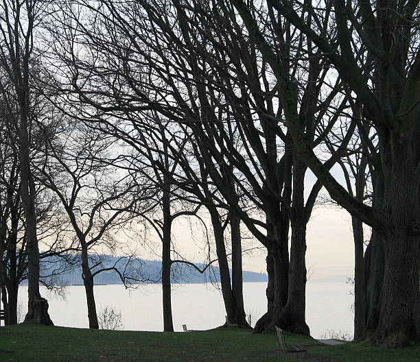 istock winter in the park 140278243