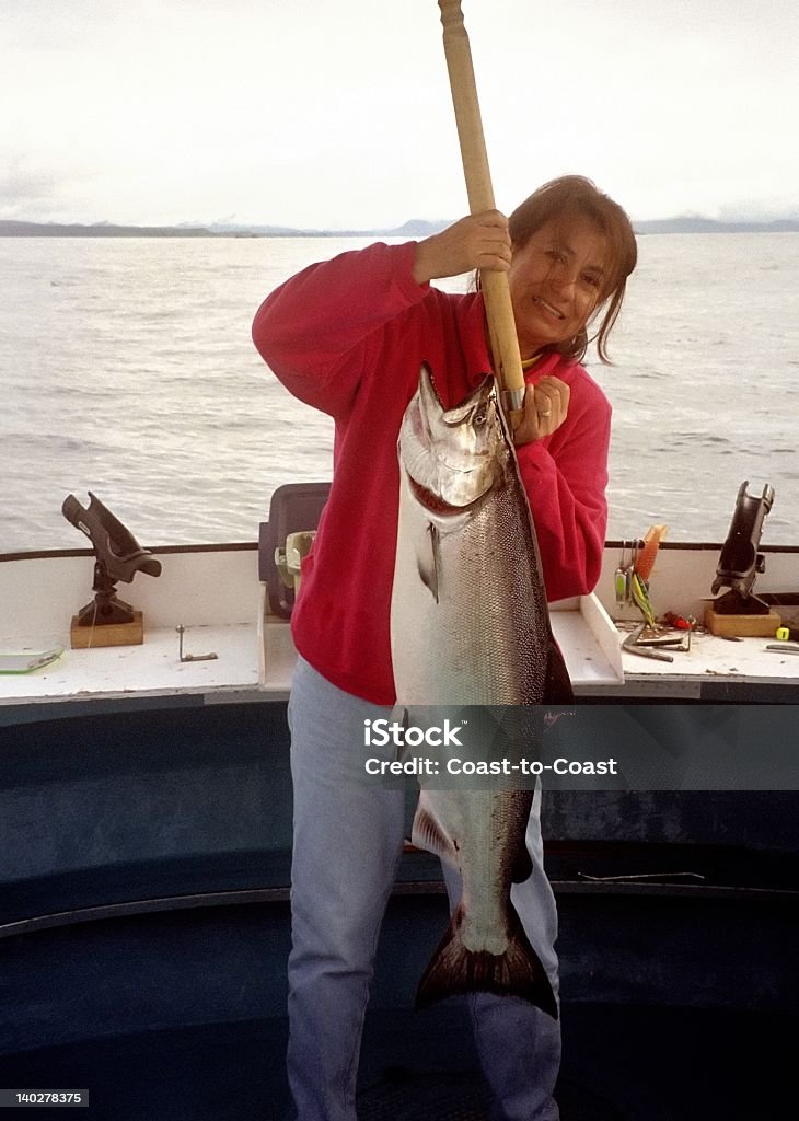 Des saumon - Photo de Poisson libre de droits