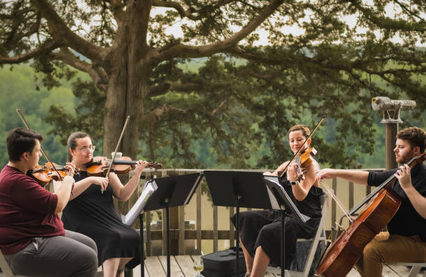 cuarteto de cuerdas de dos hombres jóvenes y dos mujeres jóvenes tocando concierto en una cubierta de madera sobre el río missouri en la noche de verano - 4 string fotografías e imágenes de stock