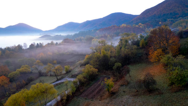 istock Mountain landscape with fog in autumn, drone view 1402785821