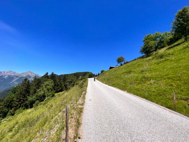 istock Zillertal District Schwaz - Wiese 1402786753