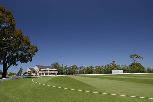 Bert Sutcliffe Oval, cricket Ground stock photo