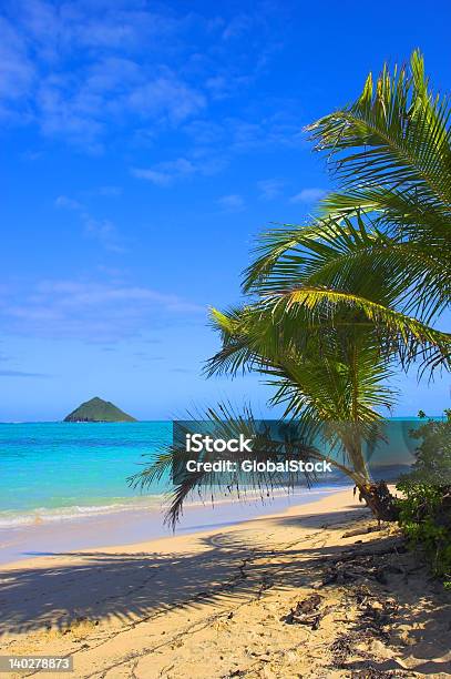 Palmas Pela Praia - Fotografias de stock e mais imagens de Ao Ar Livre - Ao Ar Livre, Calor, Cena de tranquilidade