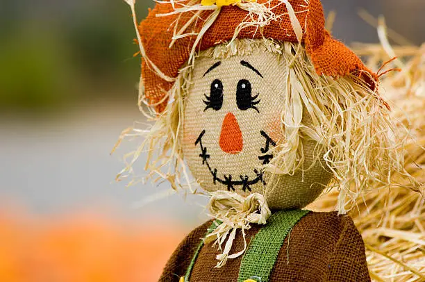 Autumn, fall decoration at pumplin patch featuing a scarecrow and wagon with straw and pumpkins in the background