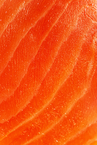 Close up of raw salmon meat, studio shot - stock photo