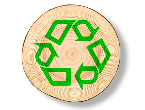 Overhead shot of tree cross section with green recycling symbol, isolated on white with clipping path.
Concept of environmental and recycling.