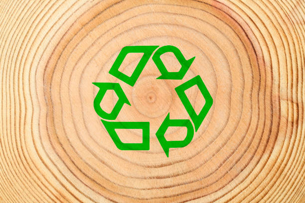 istock Tree rings with green recycling symbol 1402792203