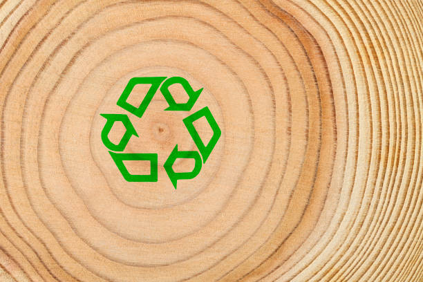 istock Tree rings with green recycling symbol 1402792206