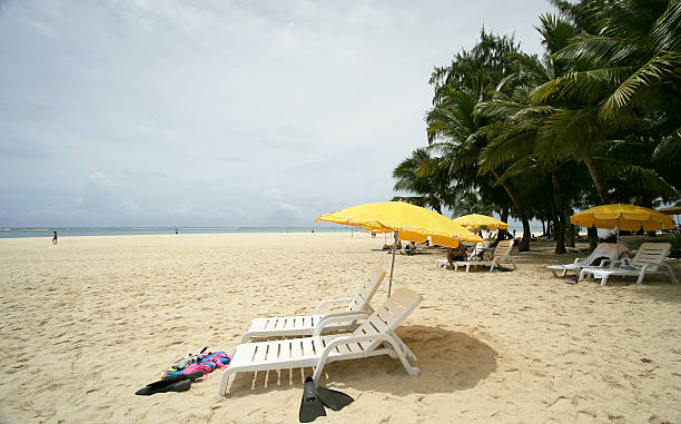 Ilha Tropical - foto de acervo