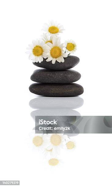 Daisies And River Stones Stock Photo - Download Image Now - Arrangement, Balance, Beauty