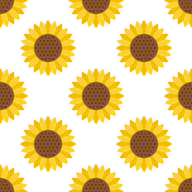 Seamless pattern sunflower on white background vector illustration. Seamless pattern sunflower sunflower star stock illustrations