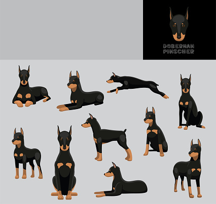 Dog Doberman Pinscher Cartoon Vector Illustration Color Variation Set
