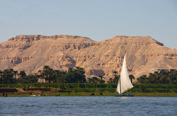 Nile Felucca The Egyptian sailing vessel on the river nile felucca boat stock pictures, royalty-free photos & images