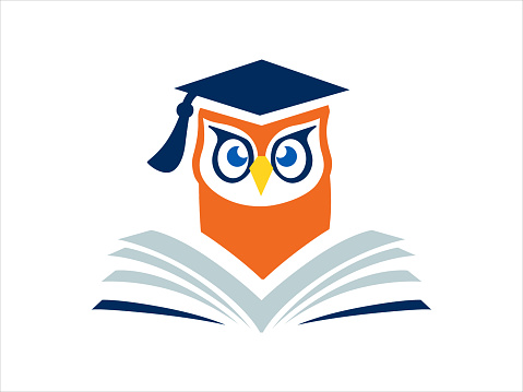 Owl in front of an open book and in a confederate. Vector school illustration.