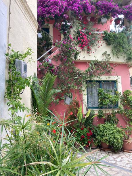 istock Greece - corfu- Chlomos village 1402796458