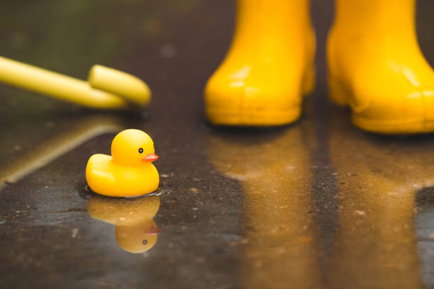istock A small child in yellow rubber boots is standing in a puddle and playing with yellow rubber ducks. Legs close-up. A picture of summer and autumn holidays. A child in the rain. 1402797372