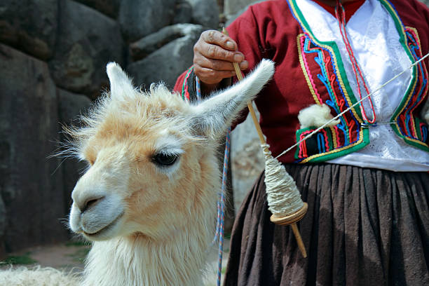 istock Peruvian llama standing next to a woman spinning 140279768
