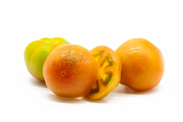 istock tomatoes photograph. Different types of tomatoes in a row over on white background. 1402798009