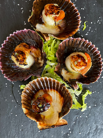 Scallops in the shell, cooked and arranged on a black slate plate. Seafood ready to eat. Mediterranean dish.