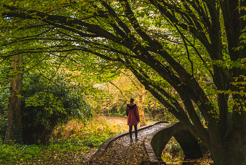 Woman walking on bridge over small creek in park in fall; colorful fall foliage around her