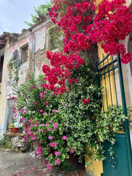 istock Greece - Corfu- Sinarades village 1402804759