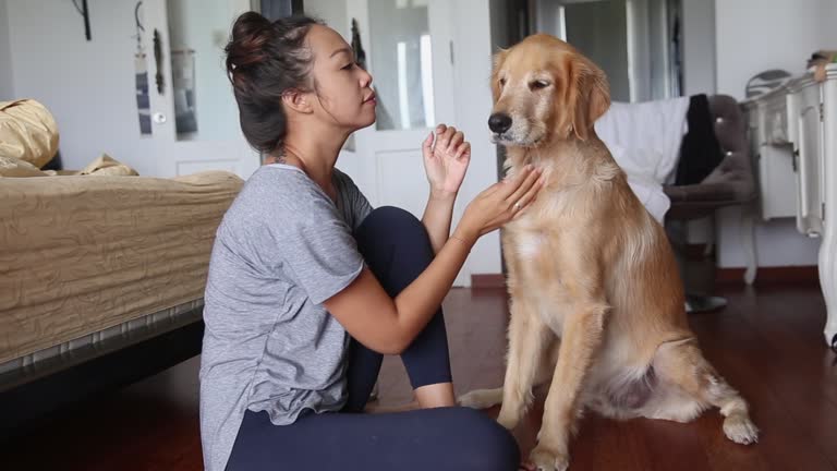 Asian Woman Massaging Her Golden Retriever Neck