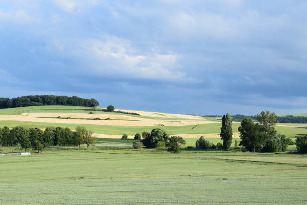 istock green fields, almost ripe grain hills and a road 1402807084
