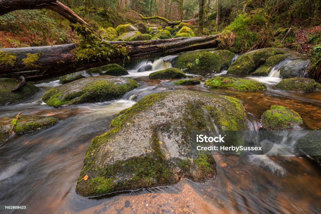 Becky Falls Dartmoor Fast flowing brook at Becky Falls Dartmoor Devon in the west of England during heavy rainfall. February Stock Photo