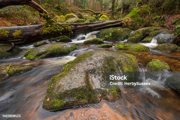 Becky Falls Dartmoor Stock Photo - Download Image Now - February, UK, Winter