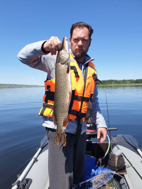 istock a man holds a pike caught in his hands. catching predatory fish on spinning 1402812251