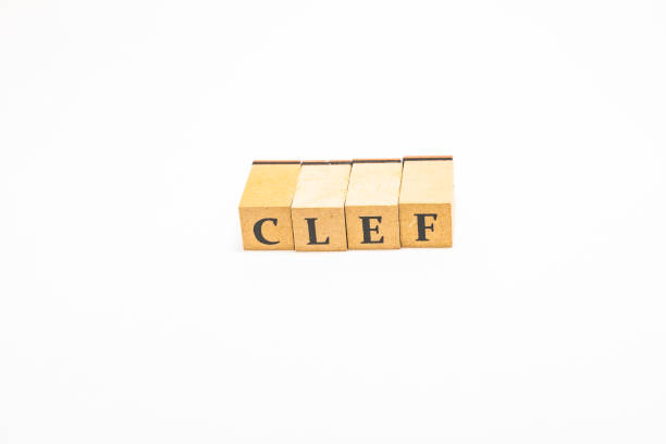 istock Wooden block English words 1402813253