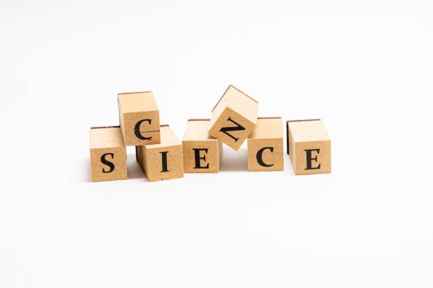 istock Wooden block English words 1402814463