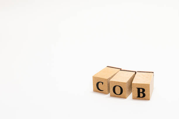 istock Wooden block English words 1402815490