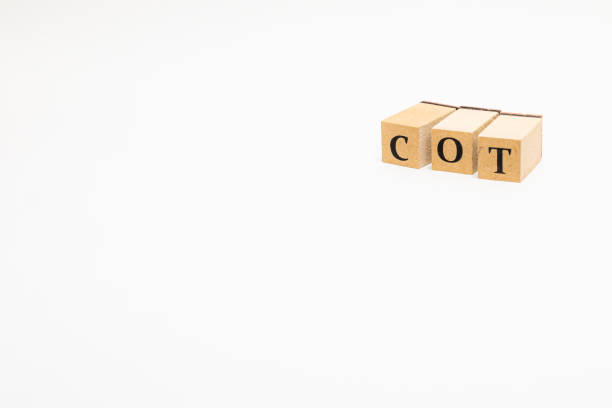 istock Wooden block English words 1402815555