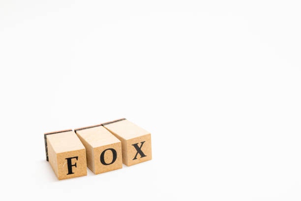 istock Wooden block English words 1402817709