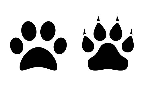 ilustrações de stock, clip art, desenhos animados e ícones de animal paw vector silhouette icons - undomesticated cat white background pattern isolated