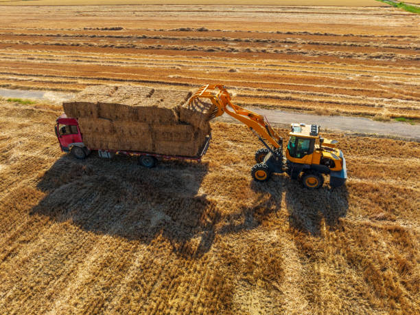 il trattore agricolo carica paglia di grano su camion - hay wheat bale stacking foto e immagini stock