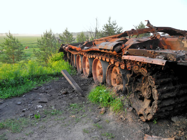 Burnt tank on background of green misty valley, Ukraine, Kyiv region stock photo
