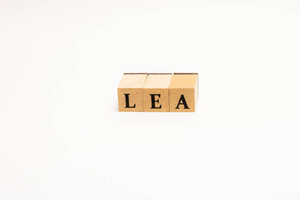 istock Wooden block English words 1402822270