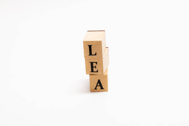 istock Wooden block English words 1402822288